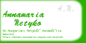 annamaria metyko business card